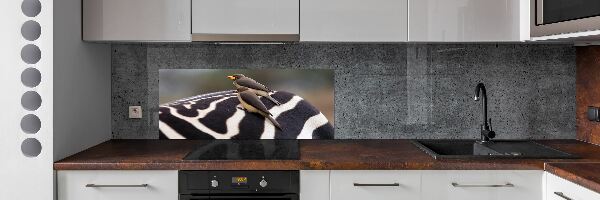 Kitchen splashback Birds and zebra