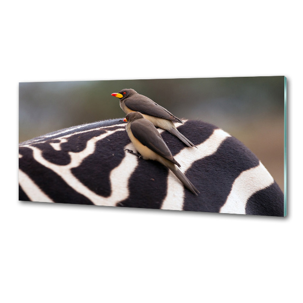 Kitchen splashback Birds and zebra