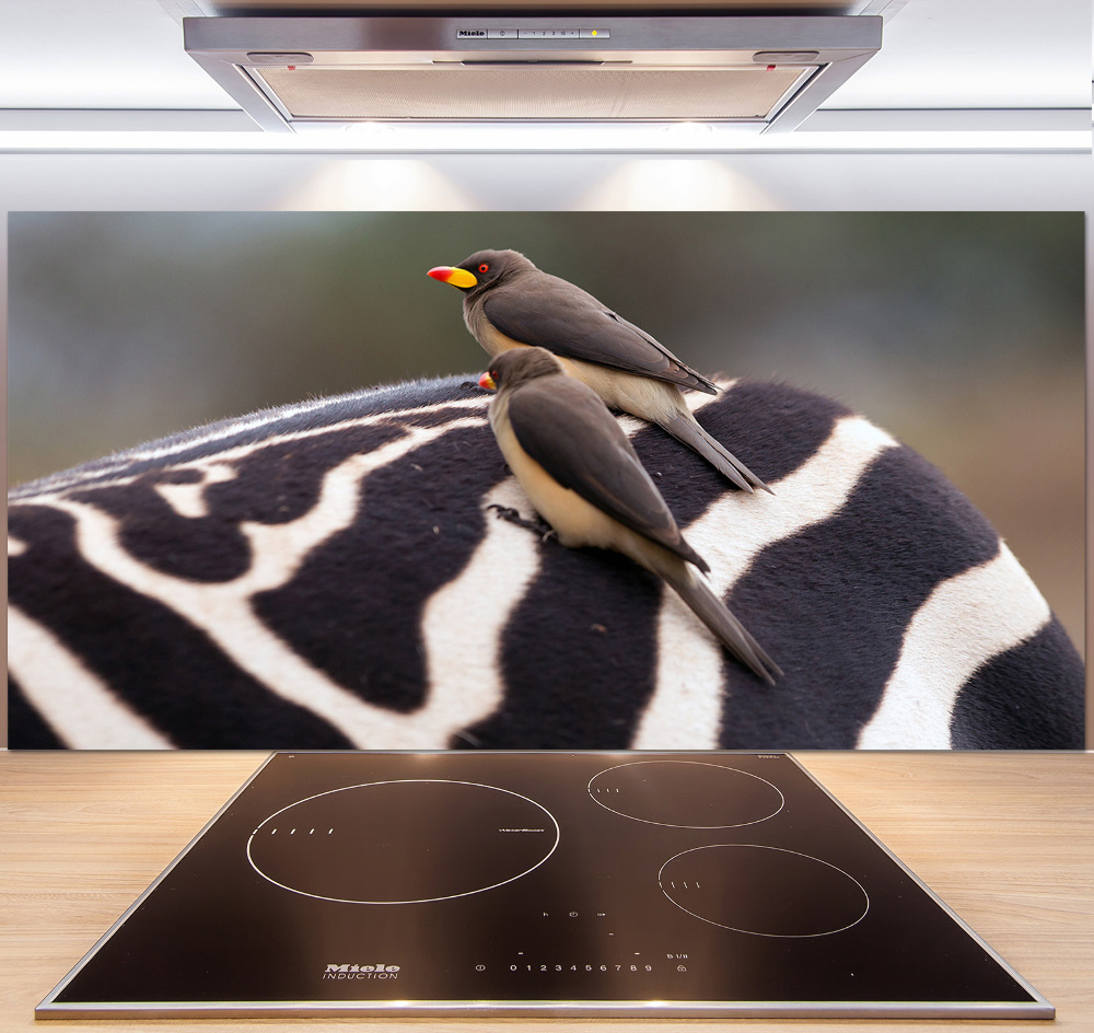 Kitchen splashback Birds and zebra