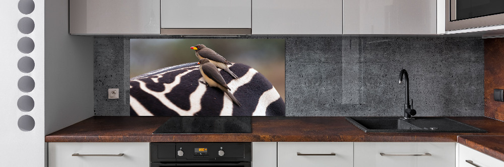 Kitchen splashback Birds and zebra