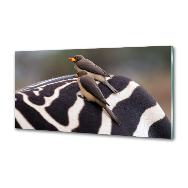 Kitchen splashback Birds and zebra