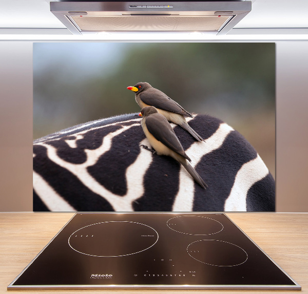 Kitchen splashback Birds and zebra