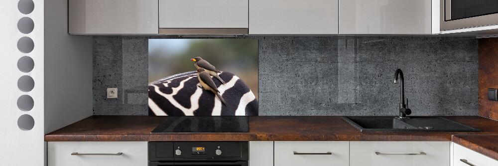 Kitchen splashback Birds and zebra