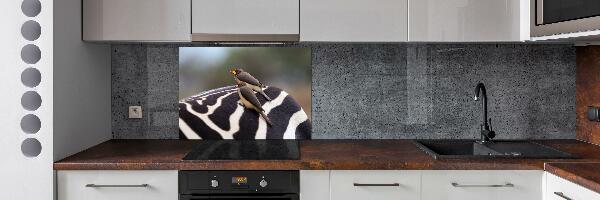 Kitchen splashback Birds and zebra