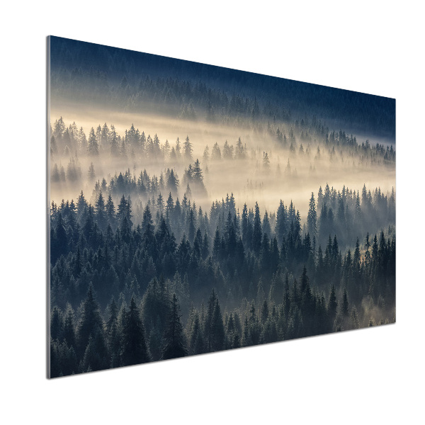 Kitchen splashback Fog over the forest