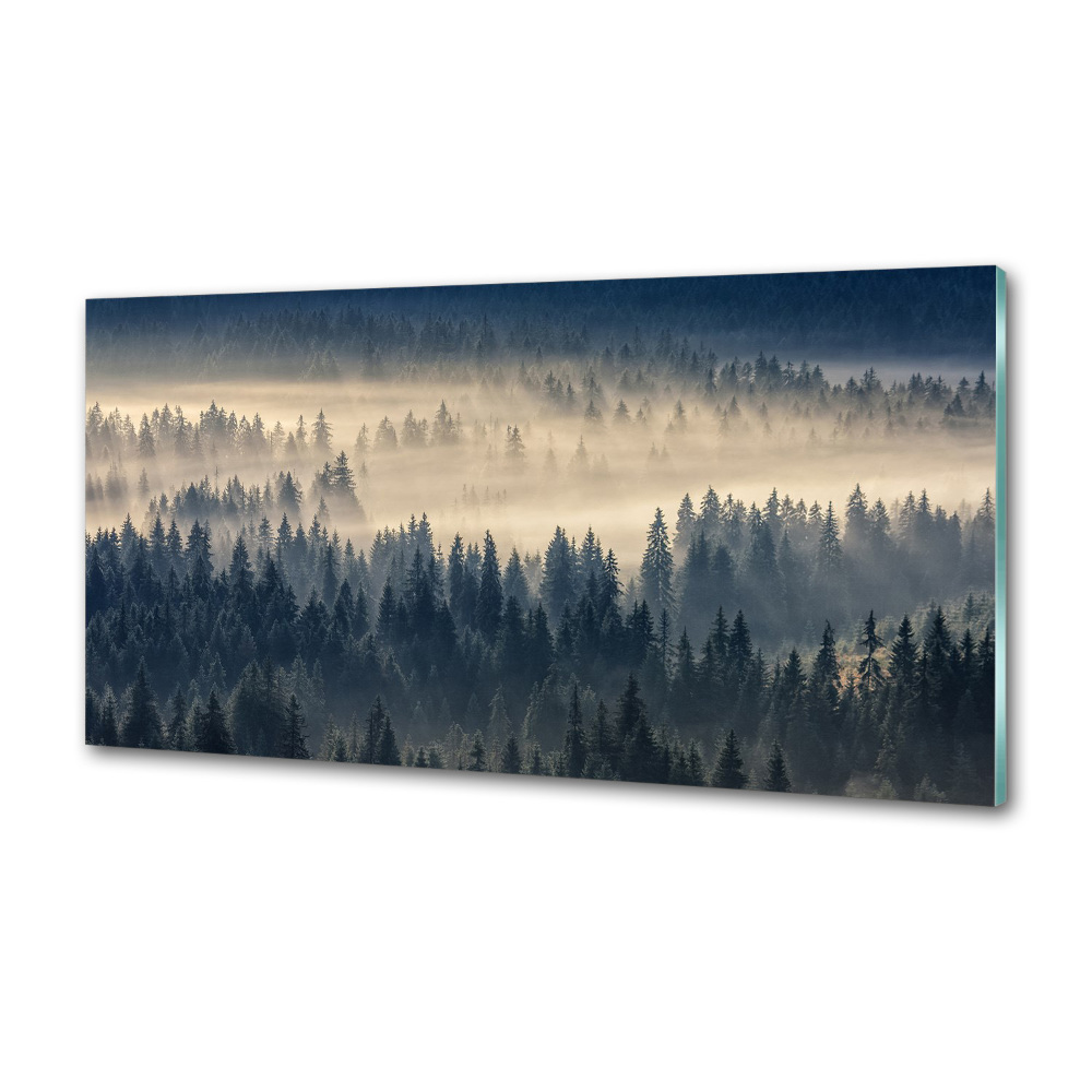 Kitchen splashback Fog over the forest