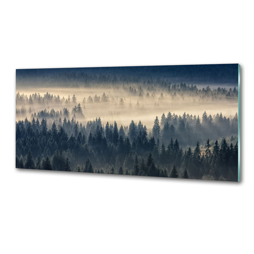 Kitchen splashback Fog over the forest