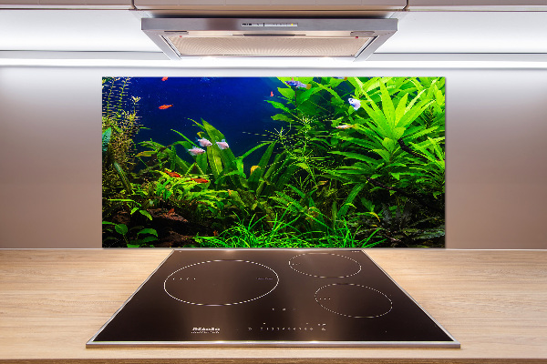 Kitchen splashback Fish in the aquarium