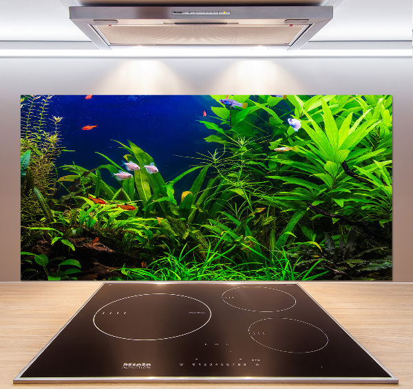 Kitchen splashback Fish in the aquarium