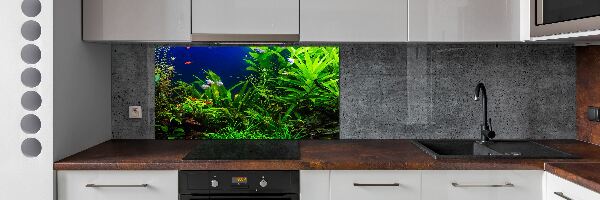 Kitchen splashback Fish in the aquarium