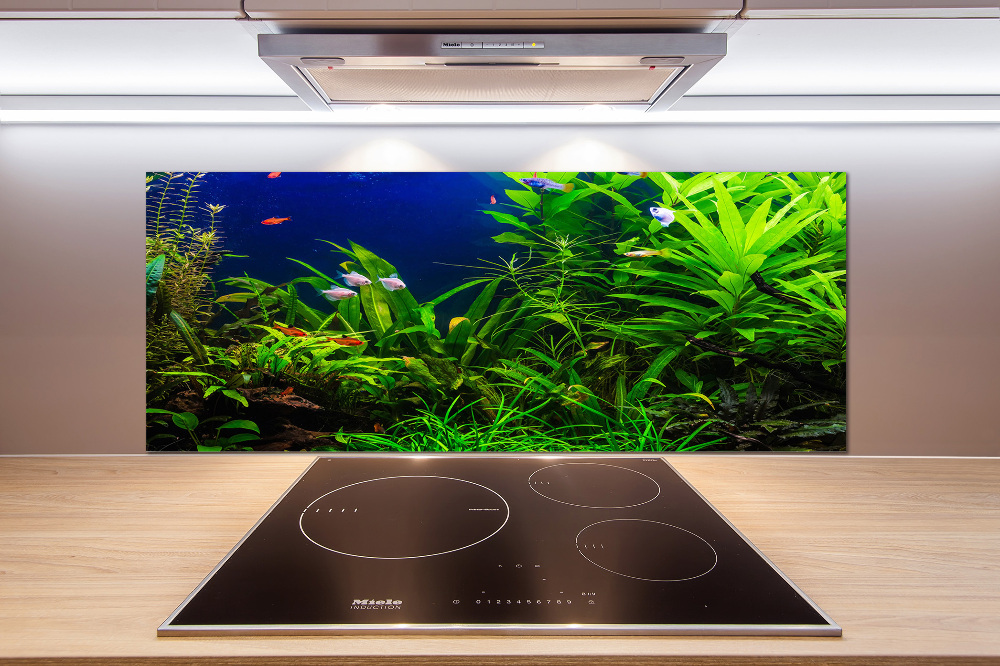 Kitchen splashback Fish in the aquarium