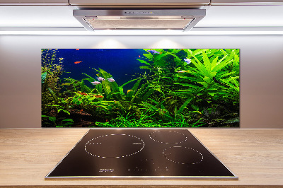 Kitchen splashback Fish in the aquarium