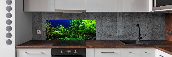 Kitchen splashback Fish in the aquarium