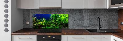 Kitchen splashback Fish in the aquarium