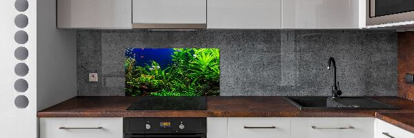 Kitchen splashback Fish in the aquarium