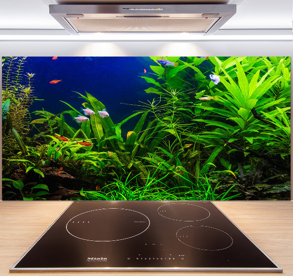 Kitchen splashback Fish in the aquarium