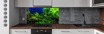 Kitchen splashback Fish in the aquarium