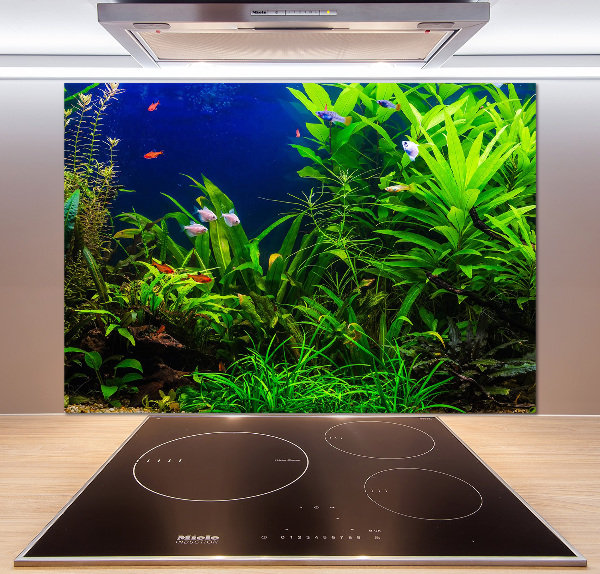 Kitchen splashback Fish in the aquarium