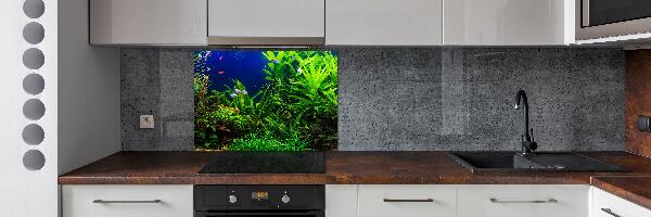 Kitchen splashback Fish in the aquarium