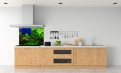 Kitchen splashback Fish in the aquarium