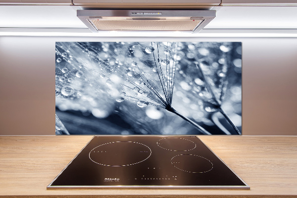 Cooker splashback Dandelion seeds