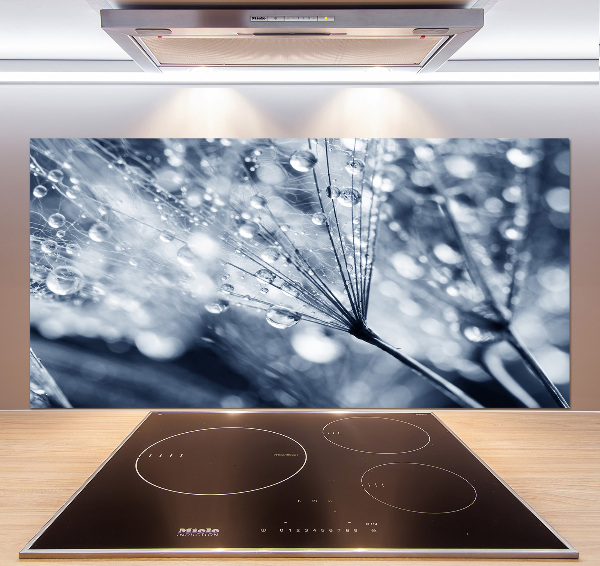 Cooker splashback Dandelion seeds