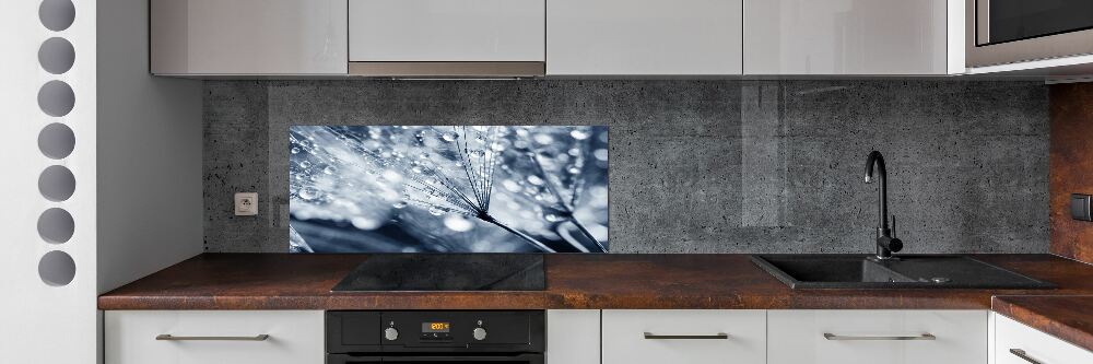 Cooker splashback Dandelion seeds