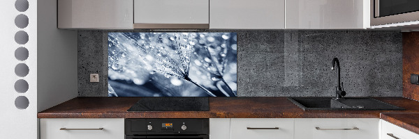 Cooker splashback Dandelion seeds