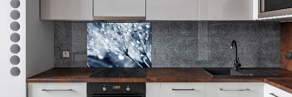 Cooker splashback Dandelion seeds