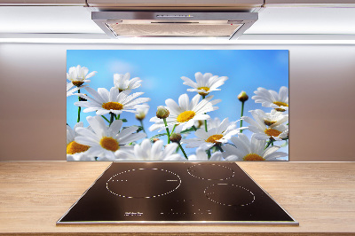 Cooker splashback Daisy