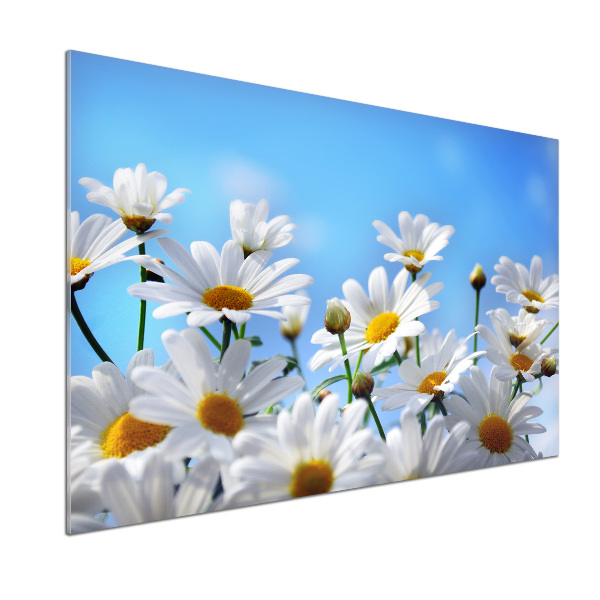 Cooker splashback Daisy