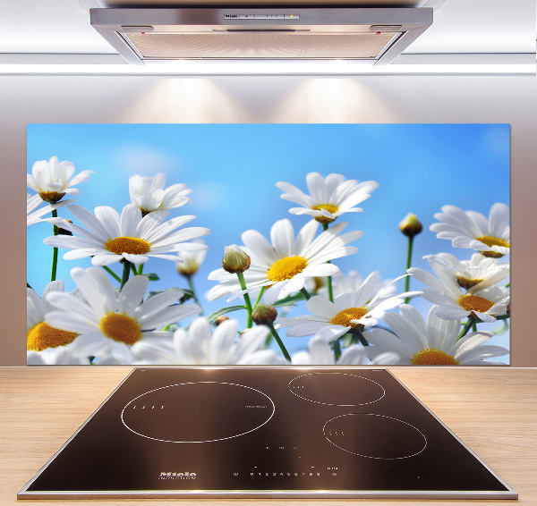 Cooker splashback Daisy