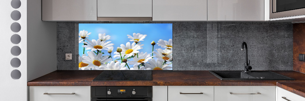 Cooker splashback Daisy