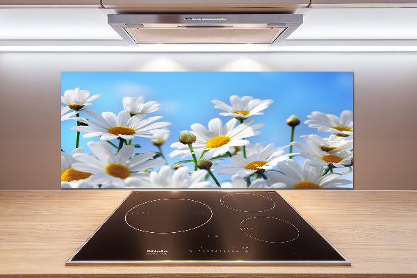 Cooker splashback Daisy