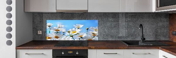 Cooker splashback Daisy