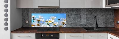 Cooker splashback Daisy