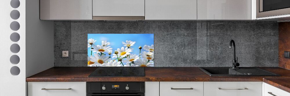 Cooker splashback Daisy