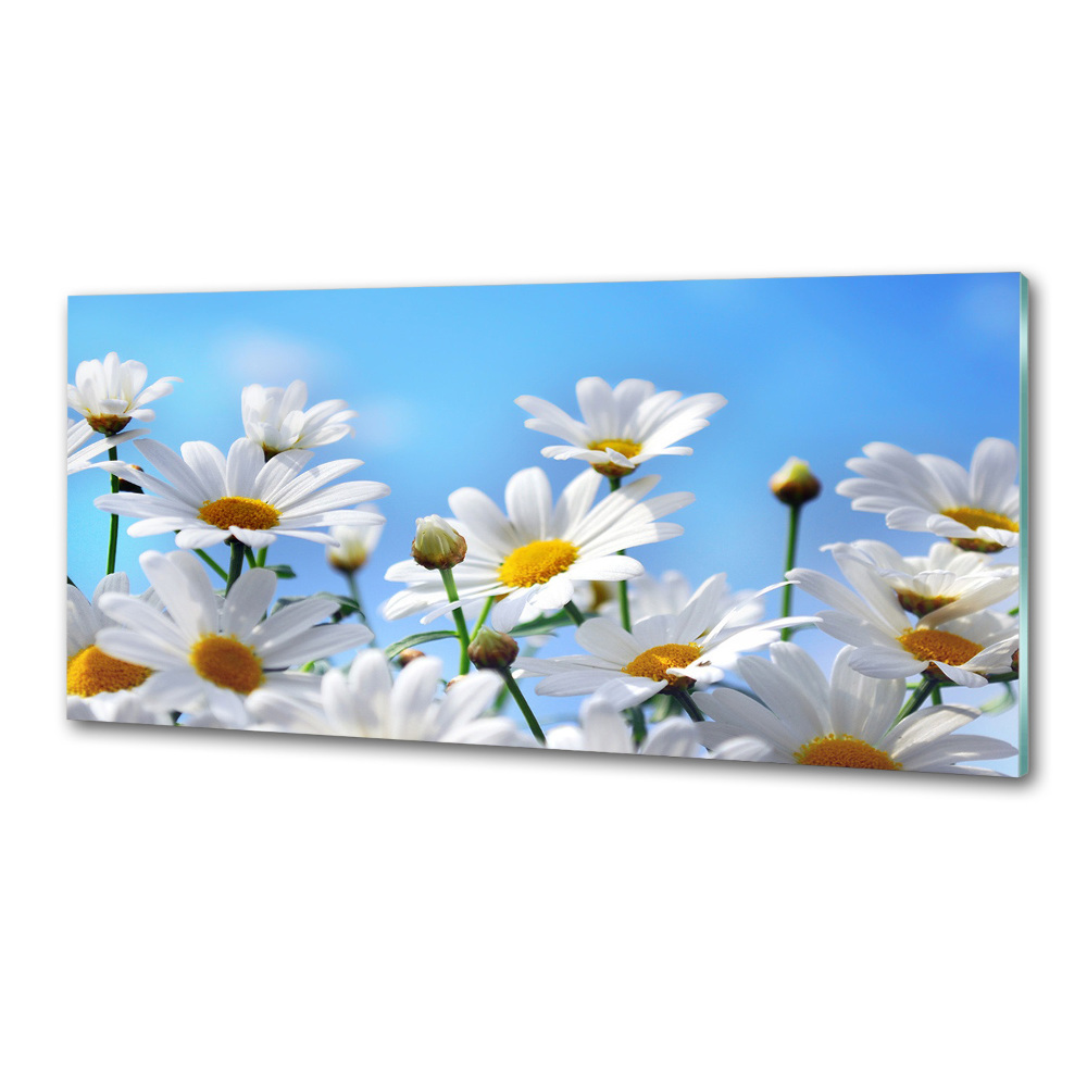 Cooker splashback Daisy