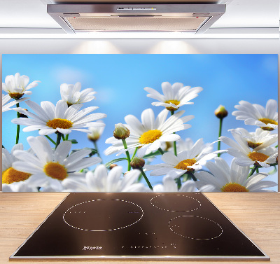 Cooker splashback Daisy