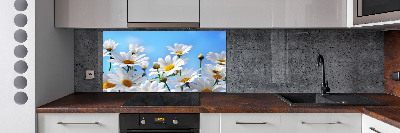 Cooker splashback Daisy