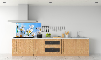 Cooker splashback Daisy