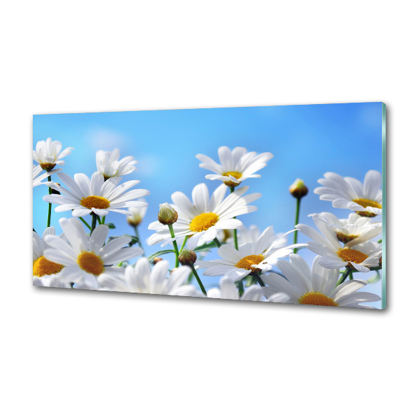 Cooker splashback Daisy