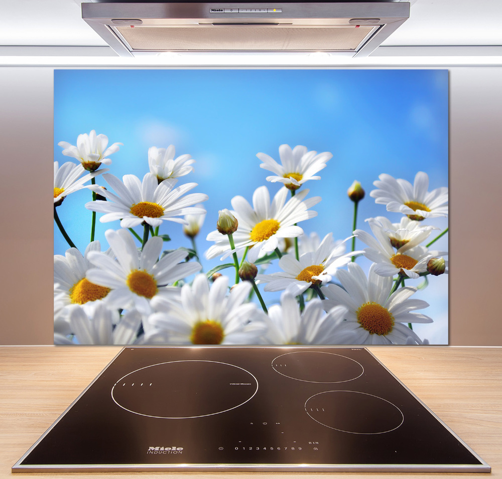 Cooker splashback Daisy