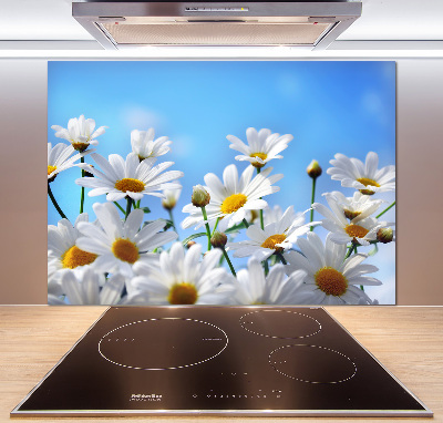 Cooker splashback Daisy