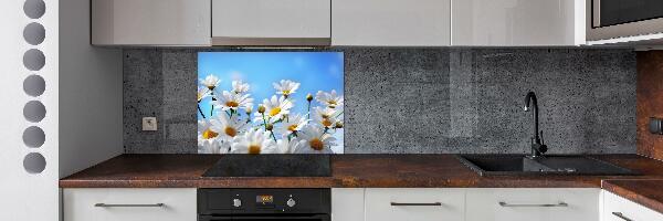 Cooker splashback Daisy