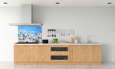 Cooker splashback Daisy