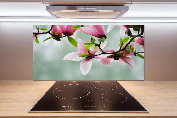 Cooker splashback Magnolia