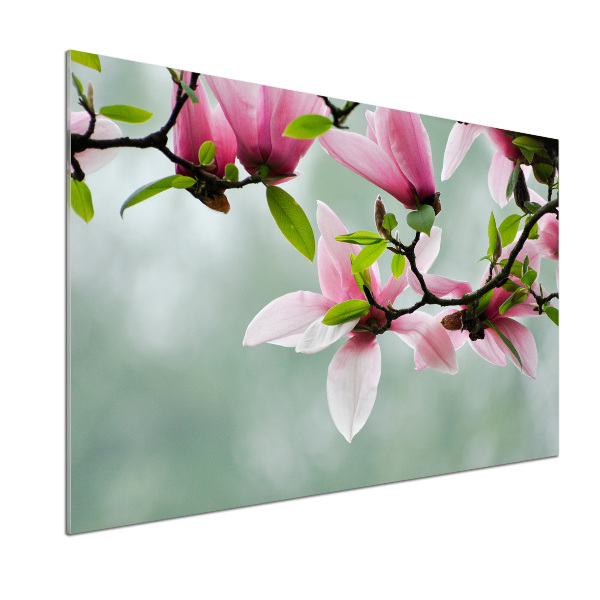 Cooker splashback Magnolia