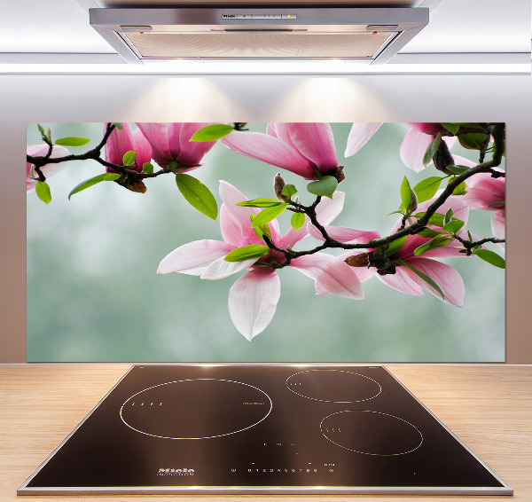 Cooker splashback Magnolia