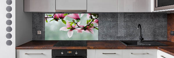 Cooker splashback Magnolia